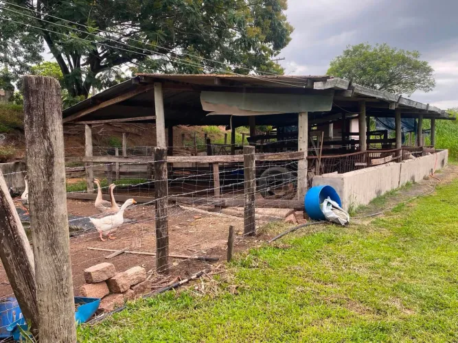 SÍTIO EM ÁGUAS DE SÃO PEDRO SP
