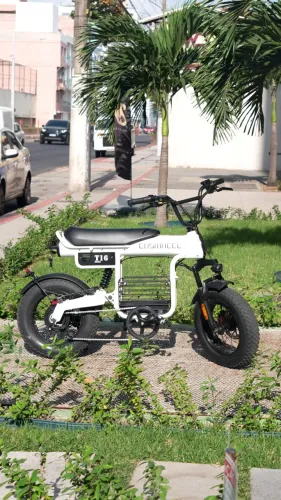 Bike Elétrica Coswheel T16 - Garantia + Brindes (Cesta + Cadeado + Localizador + Bag).