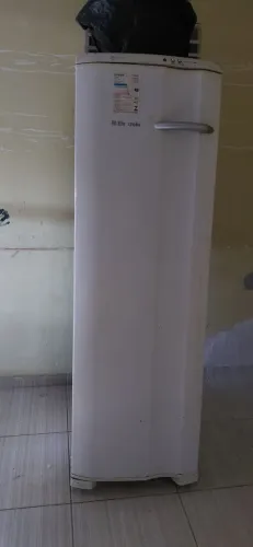 Freezer vertical