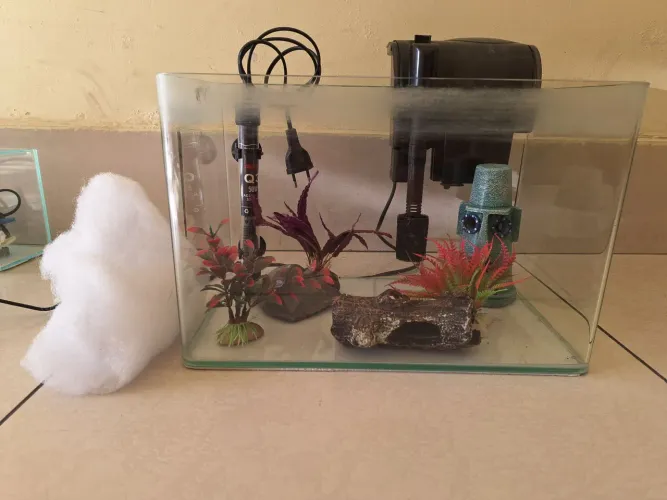 Aquário de betta completo