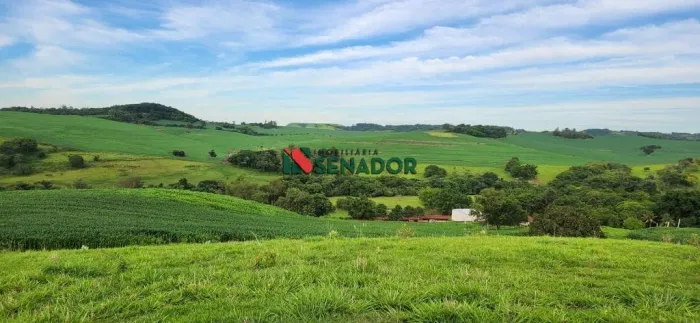 Fazenda à venda em Jataizinho, Jataizinho, com 3 quartos, com 4143039.99 m²