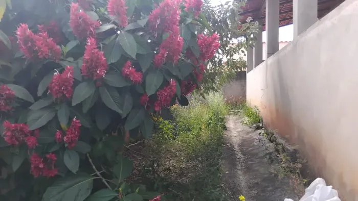 Venda casa estilo sítio com dois lotes - Logo após Nova Contagem