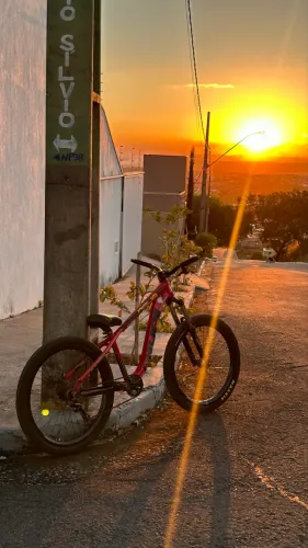 HUPI NAJA 2019