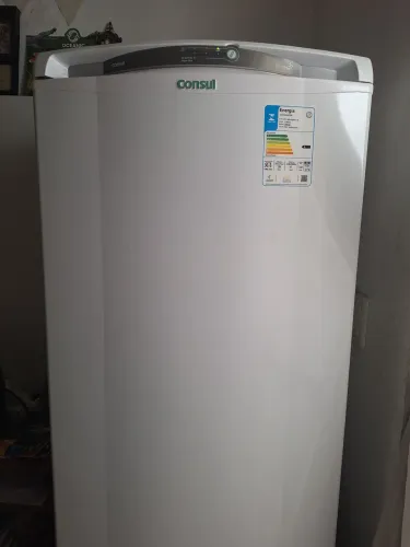 Geladeira Consul Facilite Frost Free 342L