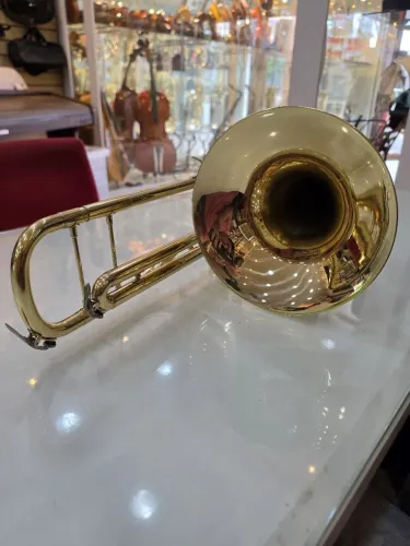 Trombone em do marca dolohin