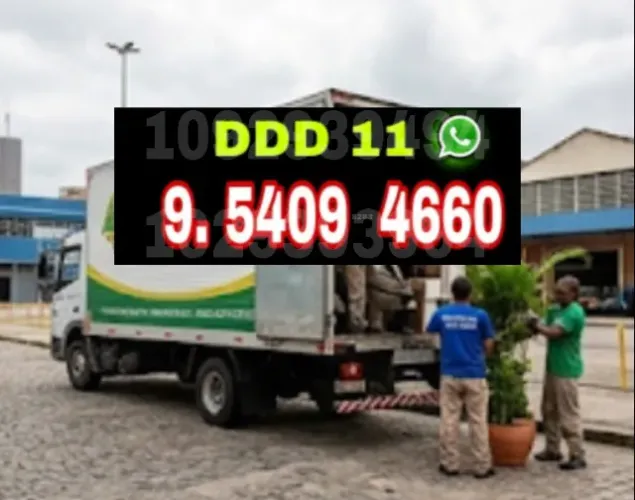 Frete em Sumaré, Fazemos Mudanças e Serviços de Transportes