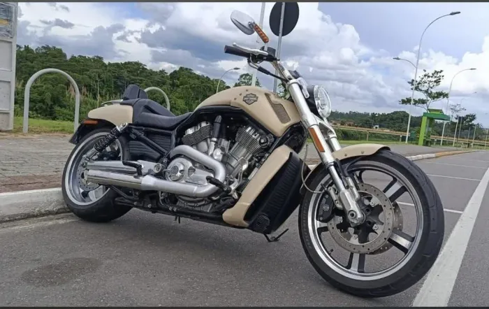 Harley Davidson V- Rod Muscle ( VRSCF) 2015