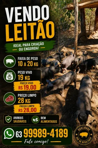 Leitoinha 