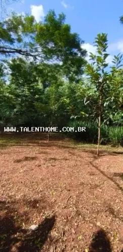 Chácara para Venda em Londrina, Conjunto Habitacional Jamile Dequech