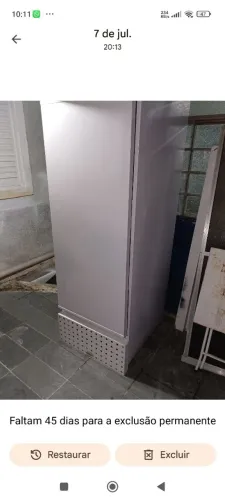 Refrigerador 580 litros e uma geladeira Consul biplex
