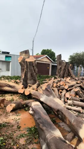 Serviços de limpeza e jardinagem em geral podas de árvores Emanuel 