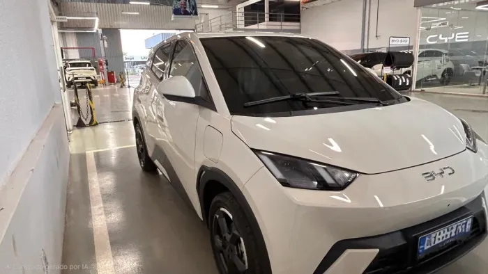 BYD Dolphin Mini (Elétrico) 2025