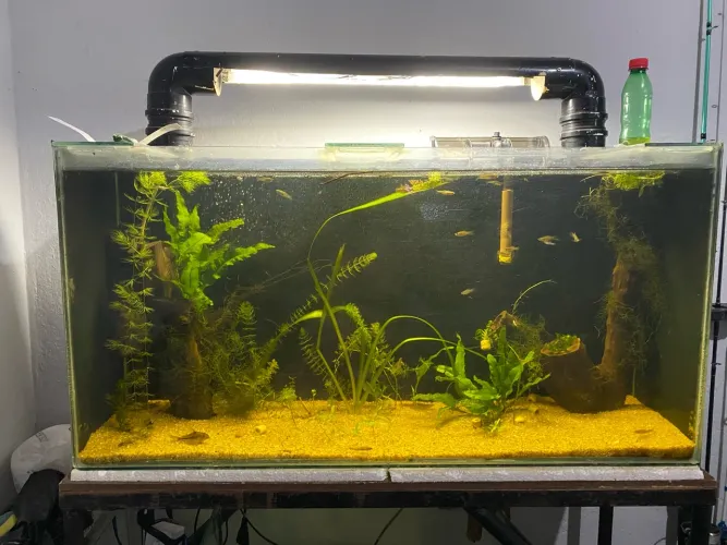 Aquário150 litros