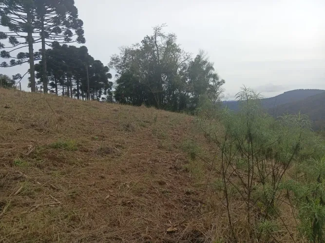VENDO LINDO TERRENO /P/ chácara