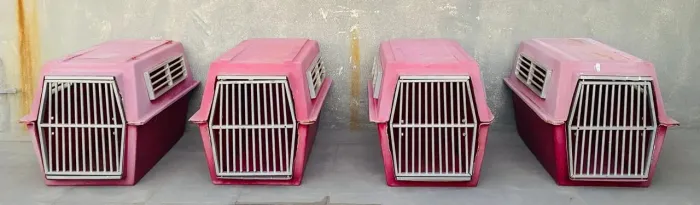 Caixas de Transporte Pet - Para cães grandes