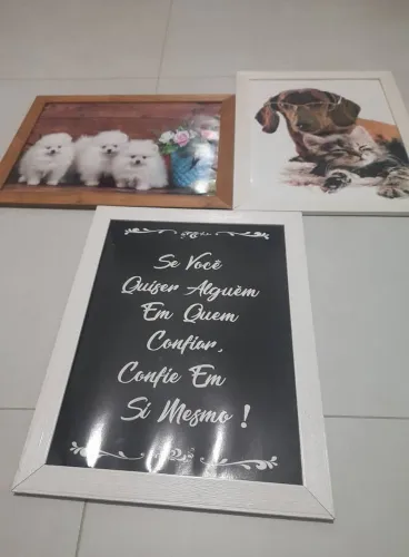 Quadros 5,00 cada 