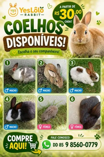 COELHOS
