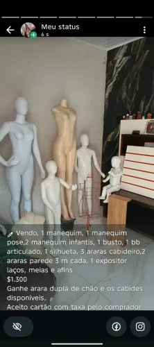 Manequim e Araras