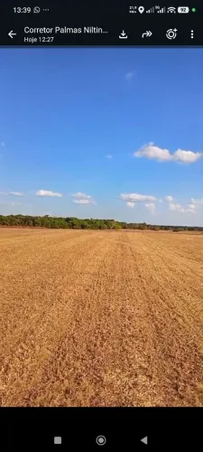 Fazenda arrendamento TO. 300 hec, região de Adoelândia e Caseara TO.