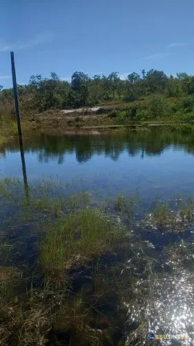 Fazenda à venda próxima a Novo Acordo/TO | 190 Alqueires por Apenas R$ 45 Mil/Alqueire!