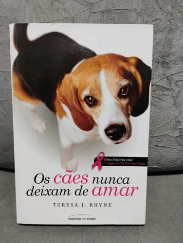 Os cães nunca deixam de amar