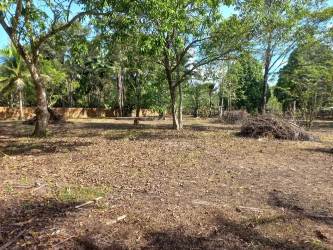 Excelente Terreno em Marituba.