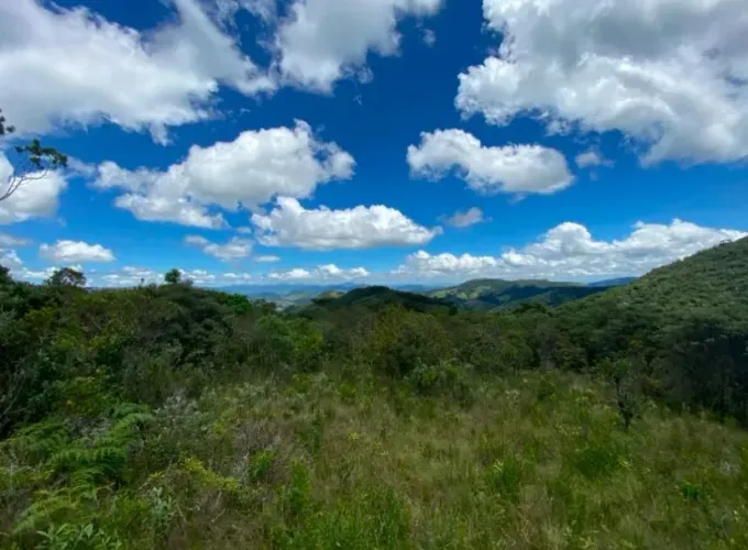 Terreno de 10 hectares rico em Mata Atlântica em Delfim Moreira- Sul de Minas Gerais