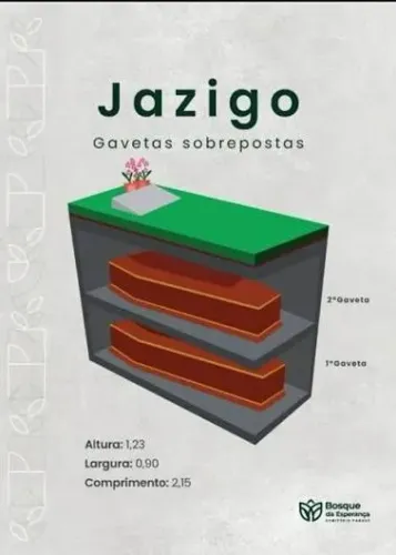 Vendo Jazigo Perpétuo Bosque da Esperança Quadra Ficus 2 gavetas vazio. 