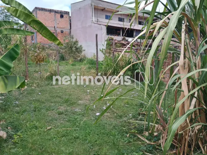Lote no Ouro Minas.
