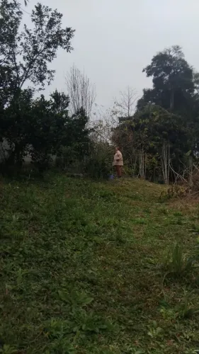 Terreno 360m² à venda 12x30 com árvores frutíferas.Areia Branca dos Assis *