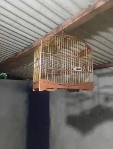 Vende gaiola de torneio