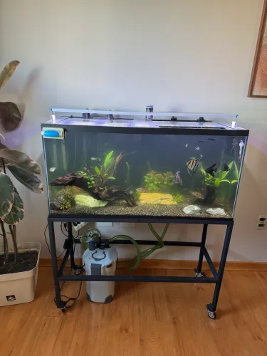 Aquário 240litros + Base Metalon com rodinhas+ Canister