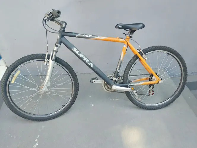 Bicicleta