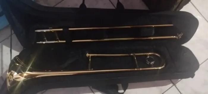 Trombone de vara- Michael wtbm35