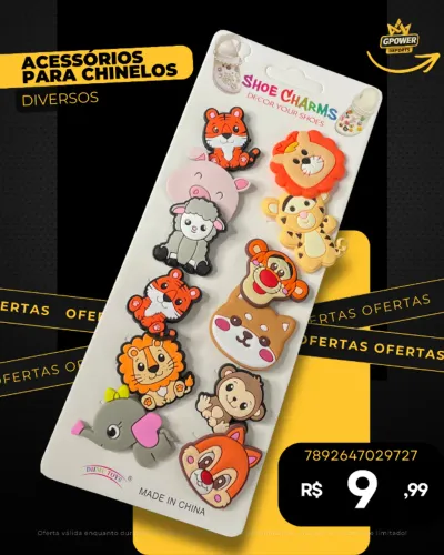 ACESSÓRIOS PARA CHINELOS (DIVERSOS MODELOS)