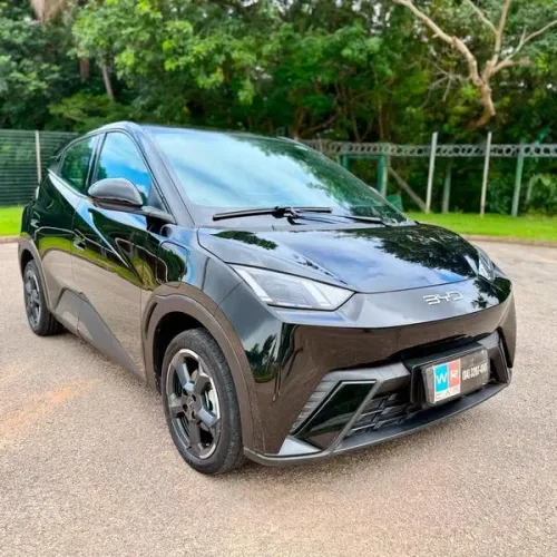 BYD Dolphin Mini (Elétrico) 2025