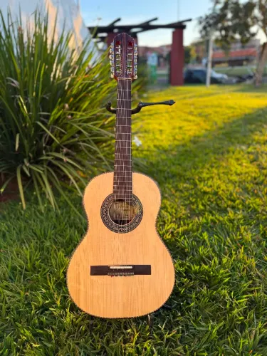 Viola Luthier Anderson Batista