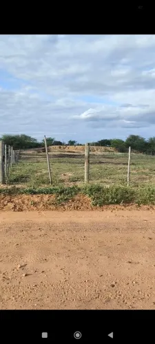 Terreno próximo ao Rio São Francisco (400metros) ao lado da Barragem de Sobradinho