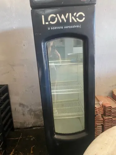 FREEZER EXPOSITOR