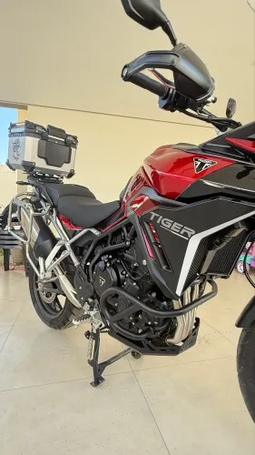 Tiger 900 GT Pro