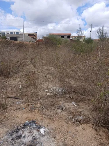 Terreno 