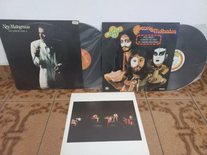 2 Discos de vinil NEY MATO GROSSO e SECO E MOLHADOS