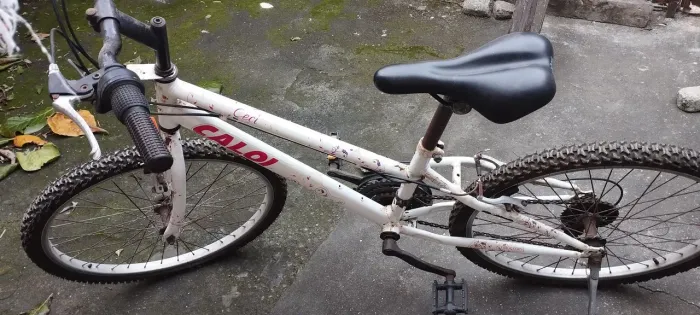 Vendo bicicleta Caloi Ceci aro 24 branca