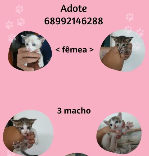 Doação 
