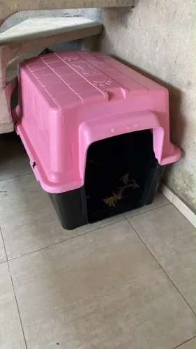 Casinha para cachorro