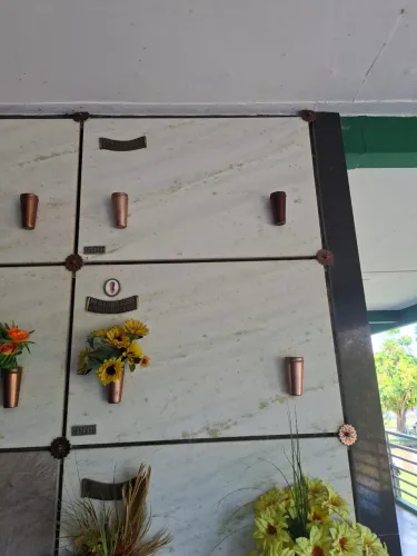 Jazigo à Venda - Cemitério São Vicente Canoas