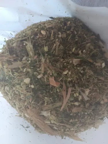 Silagem de milho ensacada.