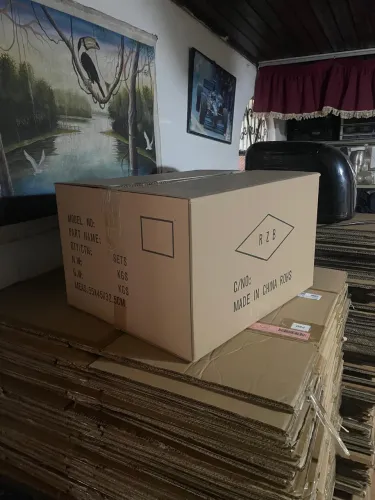 Caixa de papelão para mudança 