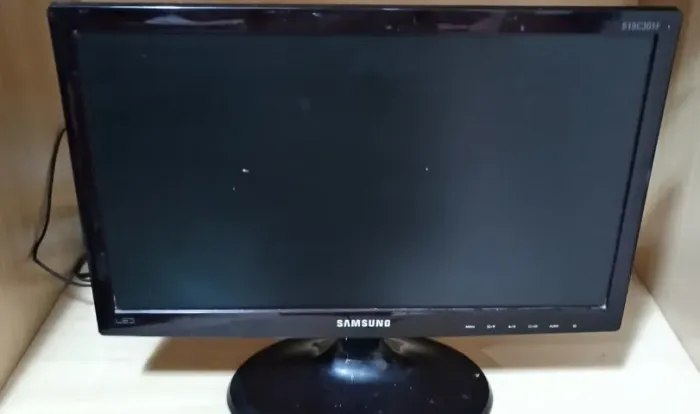 Monitor Samsung 18.5 Led Modelo Ls19c301fsmzd
