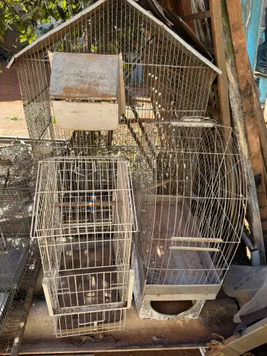 gaiolas para pássaros